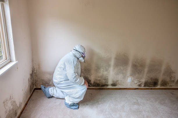 Best Water Damage & Mold Remediation  in Montgomery, AL